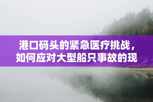 港口码头的紧急医疗挑战，如何应对大型船只事故的现场救治？