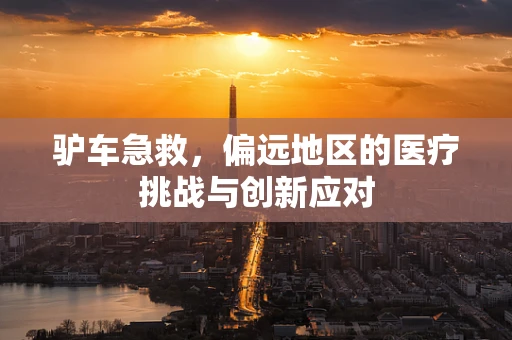 驴车急救，偏远地区的医疗挑战与创新应对