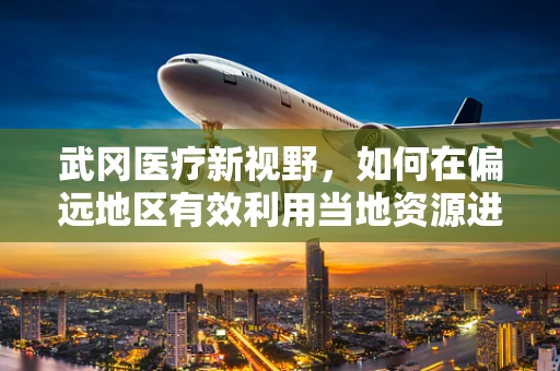 武冈医疗新视野，如何在偏远地区有效利用当地资源进行紧急外科手术？