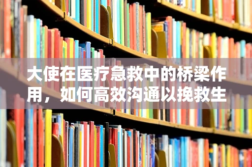 大使在医疗急救中的桥梁作用，如何高效沟通以挽救生命？