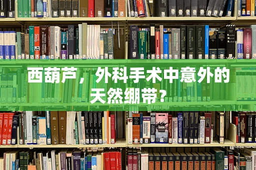 西葫芦，外科手术中意外的天然绷带？