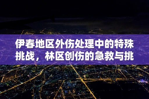 伊春地区外伤处理中的特殊挑战，林区创伤的急救与挑战