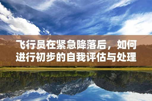 飞行员在紧急降落后，如何进行初步的自我评估与处理？