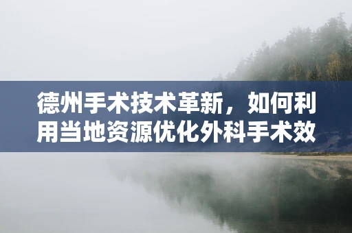 德州手术技术革新，如何利用当地资源优化外科手术效率？