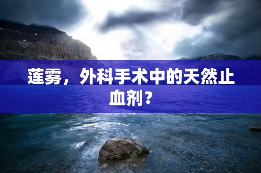 莲雾，外科手术中的天然止血剂？