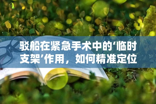 驳船在紧急手术中的‘临时支架’作用，如何精准定位与固定？