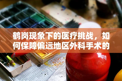 鹤岗现象下的医疗挑战，如何保障偏远地区外科手术的安全与质量？