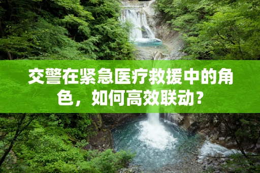 交警在紧急医疗救援中的角色，如何高效联动？