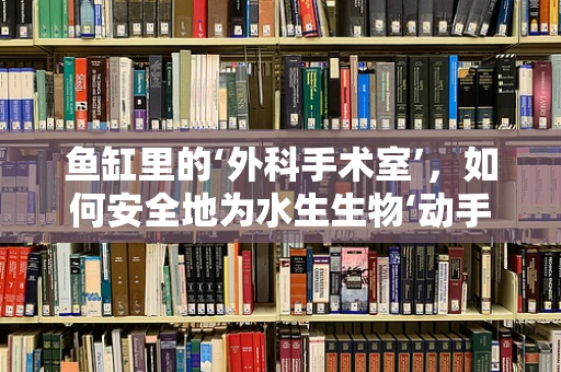 鱼缸里的‘外科手术室’，如何安全地为水生生物‘动手术’？