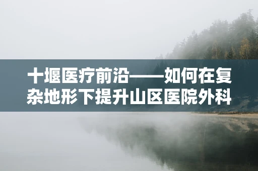 十堰医疗前沿——如何在复杂地形下提升山区医院外科手术效率？