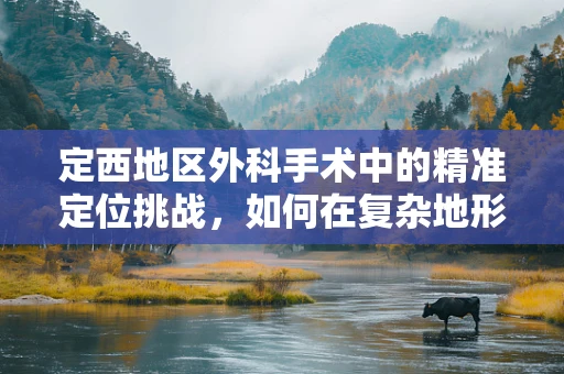 定西地区外科手术中的精准定位挑战，如何在复杂地形中确保手术安全？