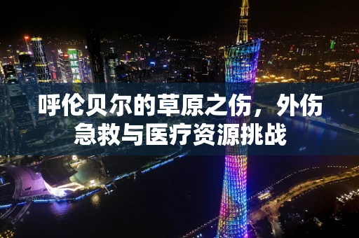 呼伦贝尔的草原之伤，外伤急救与医疗资源挑战