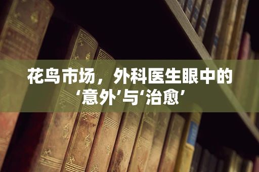 花鸟市场，外科医生眼中的‘意外’与‘治愈’