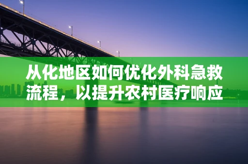 从化地区如何优化外科急救流程，以提升农村医疗响应速度？