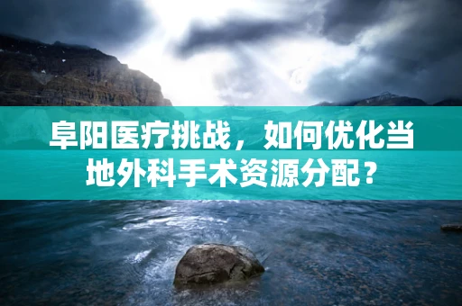 阜阳医疗挑战，如何优化当地外科手术资源分配？