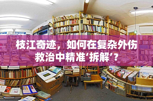 枝江奇迹，如何在复杂外伤救治中精准‘拆解’？