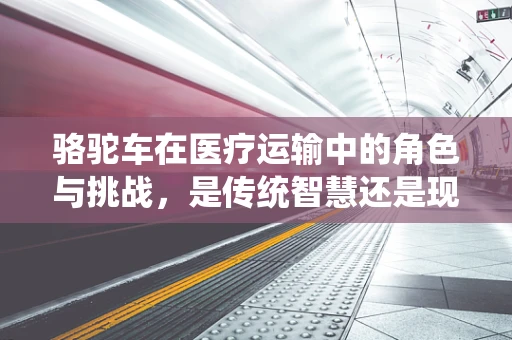 骆驼车在医疗运输中的角色与挑战，是传统智慧还是现代医疗的桥梁？